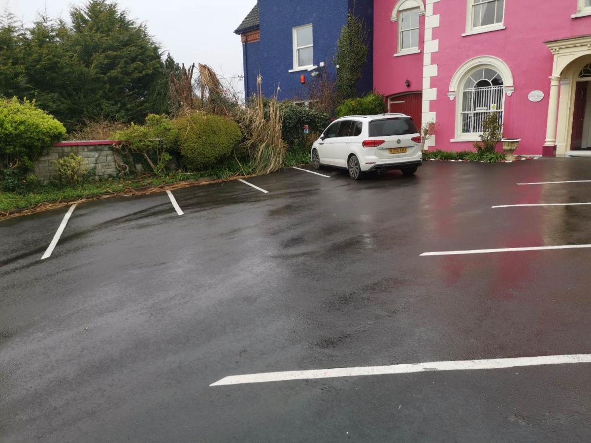 Llety Teifi Guest House คาร์ดิแกน ภายนอก รูปภาพ